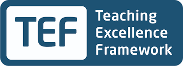 Teaching Excellence Framework logo